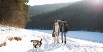 Par går tur med hund i snø